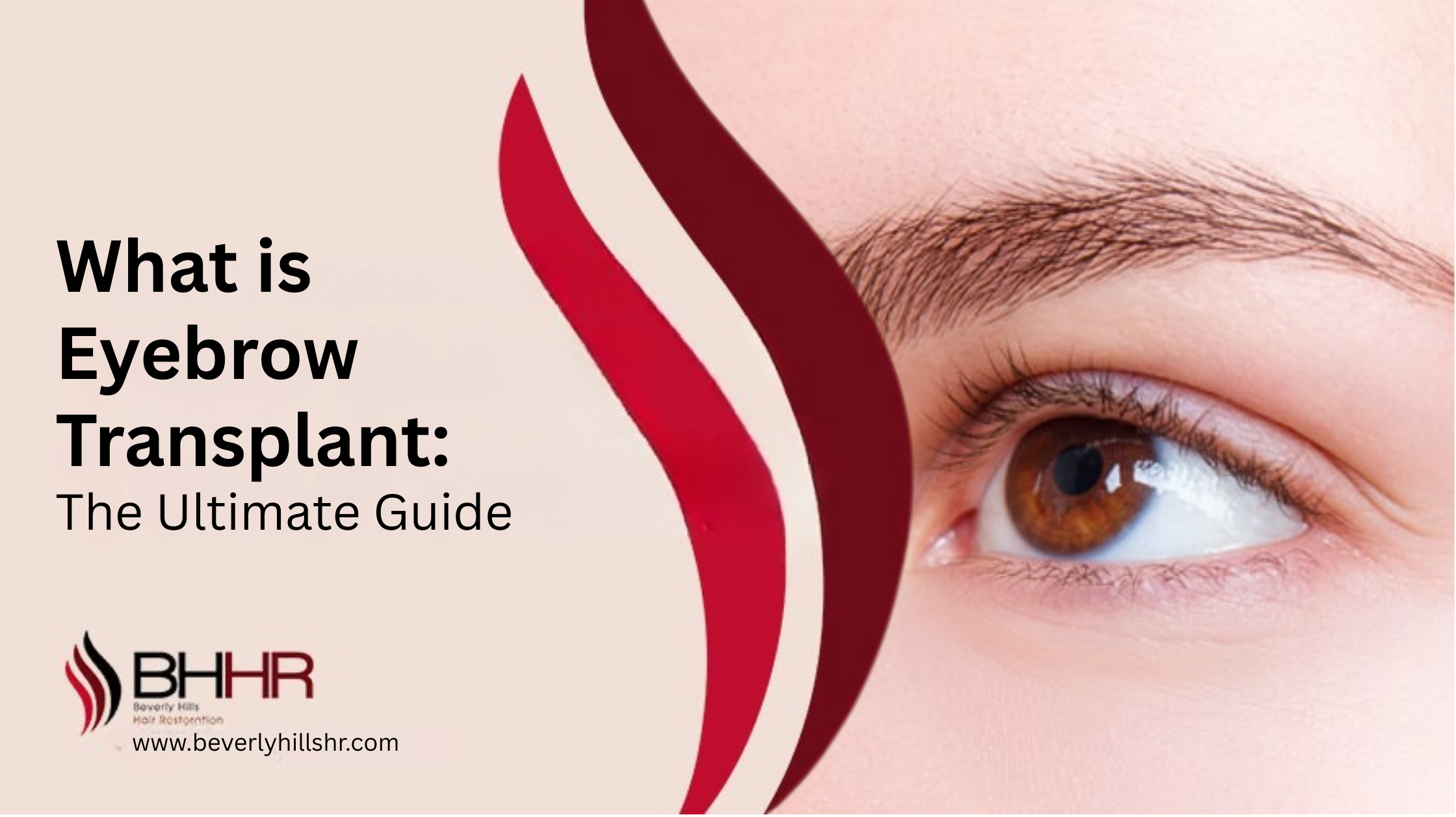 what is eyebrow transplant